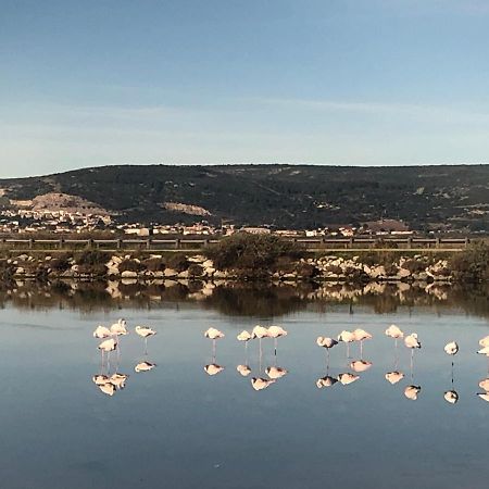 Flamants Roses 1 Pers 6 Frontignan Buitenkant foto