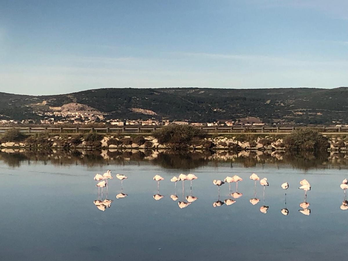 Flamants Roses 1 Pers 6 Frontignan Buitenkant foto